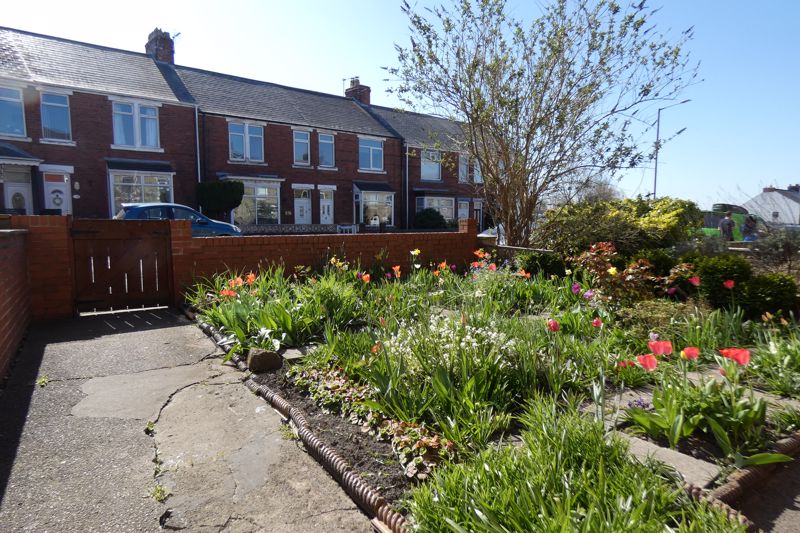 Front Garden- click for photo gallery